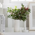 An Organizing Expert's Top Holiday Hack: Simplify Your Face Off